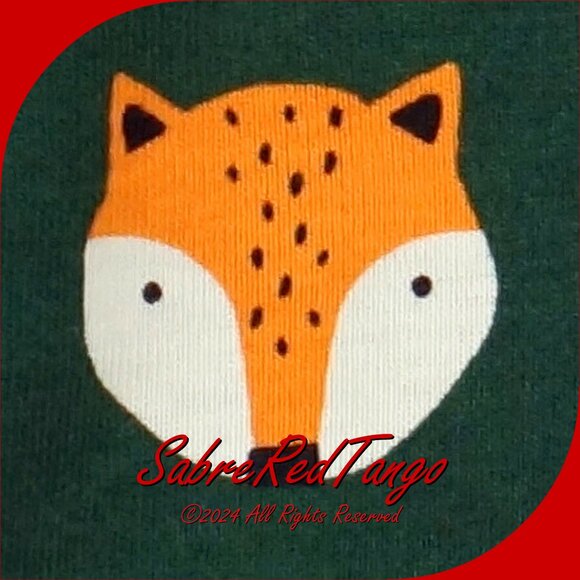 NWT Hanna Andersson Organic Short Johns Pajamas Foxy Print On Malachite 110 5 - Picture 3 of 4